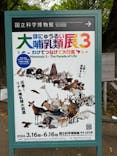特別展「大哺乳類展３－わけてつなげて大行進」に投稿された画像（2024/4/27）