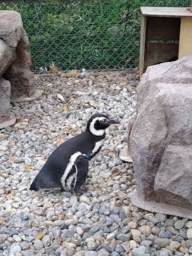 上越市立水族博物館 うみがたりに投稿された画像（2024/4/27）