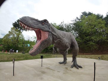 福井県立恐竜博物館に投稿された画像（2024/4/27）