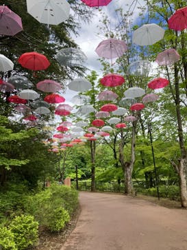 ムーミンバレーパークに投稿された画像（2024/4/27）