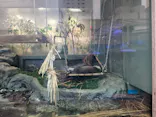 サンシャイン水族館に投稿された画像（2024/4/27）