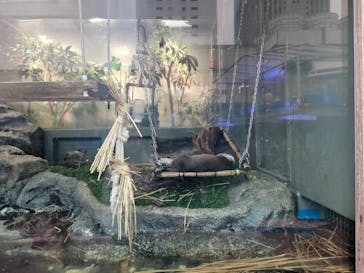 サンシャイン水族館に投稿された画像（2024/4/27）