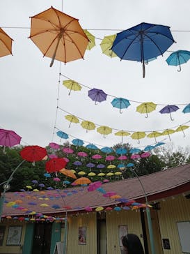 ムーミンバレーパークに投稿された画像（2024/4/27）