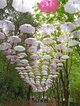 ムーミンバレーパークに投稿された画像（2024/4/27）