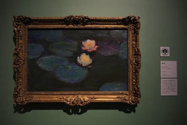 モネ　連作の情景に投稿された画像（2024/4/27）