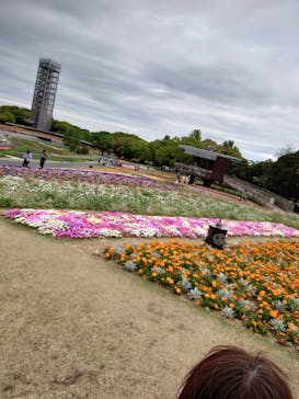 浜名湖花博2024に投稿された画像（2024/4/27）