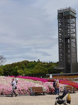 浜名湖花博2024に投稿された画像（2024/4/27）