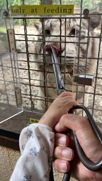 群馬サファリパークに投稿された画像（2024/4/27）