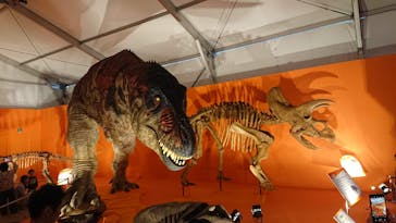 オダイバ恐竜博覧会2024 -福井から“ヤツラ”が新幹線でやってくる！-に投稿された画像（2024/4/27）