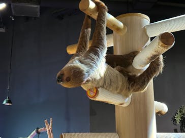 DMMかりゆし水族館に投稿された画像（2024/4/27）