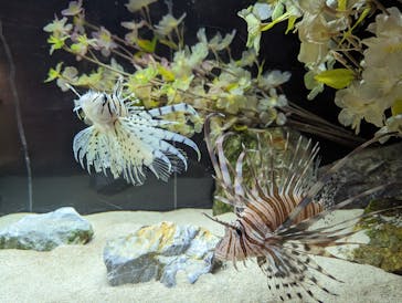 浜名湖体験学習施設ウォットに投稿された画像（2024/4/27）