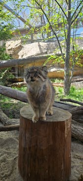 那須どうぶつ王国に投稿された画像（2024/4/27）