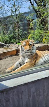 那須どうぶつ王国に投稿された画像（2024/4/27）