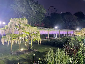 浜名湖花博2024に投稿された画像（2024/4/27）