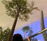 福井県立恐竜博物館に投稿された画像（2024/4/28）