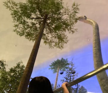 福井県立恐竜博物館に投稿された画像（2024/4/27）