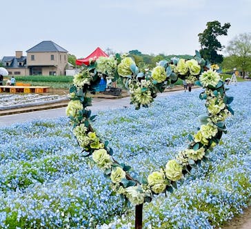 淡路ファームパーク イングランドの丘に投稿された画像（2024/4/27）