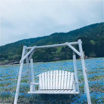 淡路ファームパーク イングランドの丘に投稿された画像（2024/4/27）