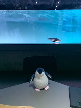 AOAO SAPPOROに投稿された画像（2024/4/27）