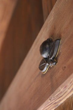 仙巌園に投稿された画像（2024/4/27）