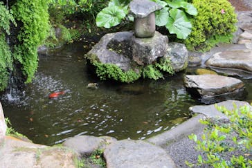 仙巌園に投稿された画像（2024/4/27）