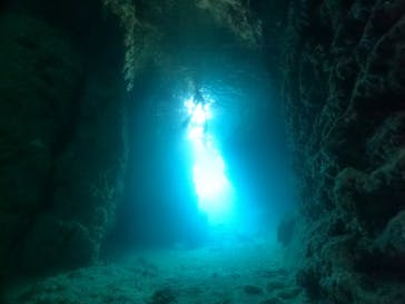 武藤潜水に投稿された画像（2024/4/27）