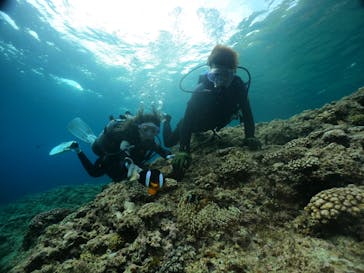 武藤潜水に投稿された画像（2024/4/27）