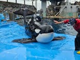 名古屋港水族館に投稿された画像（2024/4/28）