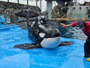 名古屋港水族館に投稿された画像（2024/4/28）