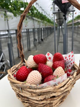 ニューベリーに投稿された画像（2024/4/28）