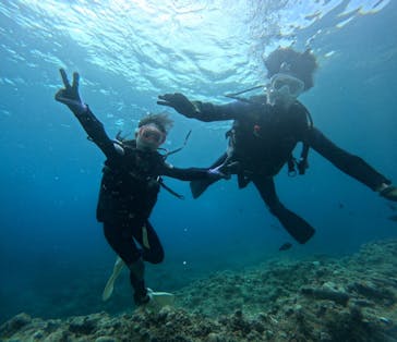 武藤潜水に投稿された画像（2024/4/28）