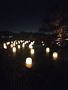 チームラボ ボタニカルガーデン 大阪に投稿された画像（2024/4/28）