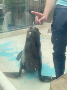 サンシャイン水族館に投稿された画像（2024/4/28）