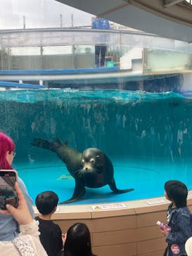 サンシャイン水族館に投稿された画像（2024/4/28）