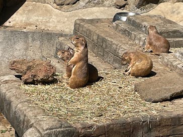 伊豆シャボテン動物公園に投稿された画像（2024/4/28）