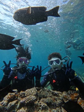 沖縄マリンサービス碧に投稿された画像（2024/4/28）