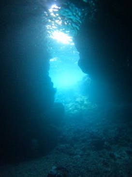 沖縄マリンサービス碧に投稿された画像（2024/4/28）