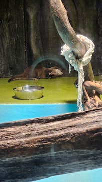 竹島水族館に投稿された画像（2024/4/28）