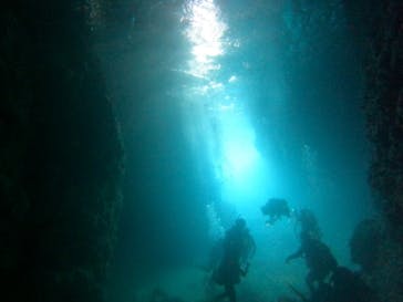 武藤潜水に投稿された画像（2024/4/28）