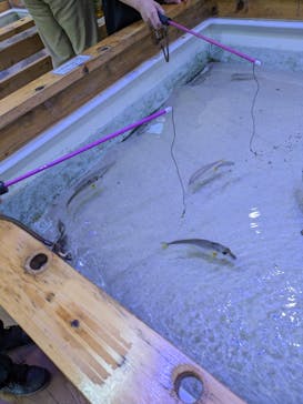 南知多ビーチランド＆南知多おもちゃ王国に投稿された画像（2024/4/28）