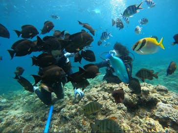 武藤潜水に投稿された画像（2024/4/28）