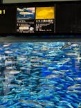 アクアワールド茨城県大洗水族館に投稿された画像（2024/4/28）