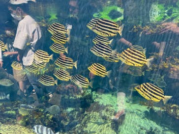 アクアワールド茨城県大洗水族館に投稿された画像（2024/4/28）