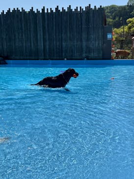 わんダフルネイチャーヴィレッジに投稿された画像（2024/4/28）