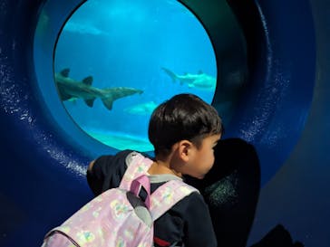 アクアワールド茨城県大洗水族館に投稿された画像（2024/4/28）
