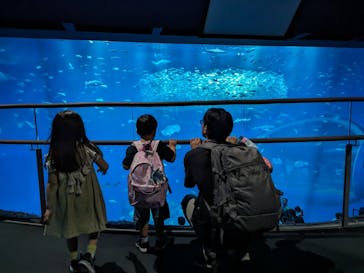 アクアワールド茨城県大洗水族館に投稿された画像（2024/4/28）