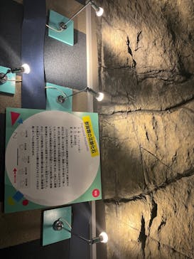 オダイバ恐竜博覧会2024 -福井から“ヤツラ”が新幹線でやってくる！-に投稿された画像（2024/4/28）