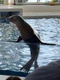 アクアワールド茨城県大洗水族館に投稿された画像（2024/4/28）