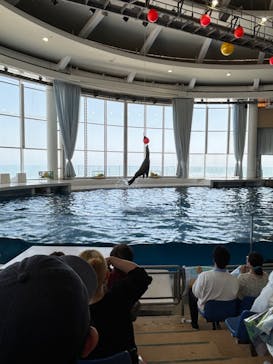 アクアワールド茨城県大洗水族館に投稿された画像（2024/4/28）