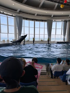アクアワールド茨城県大洗水族館に投稿された画像（2024/4/28）